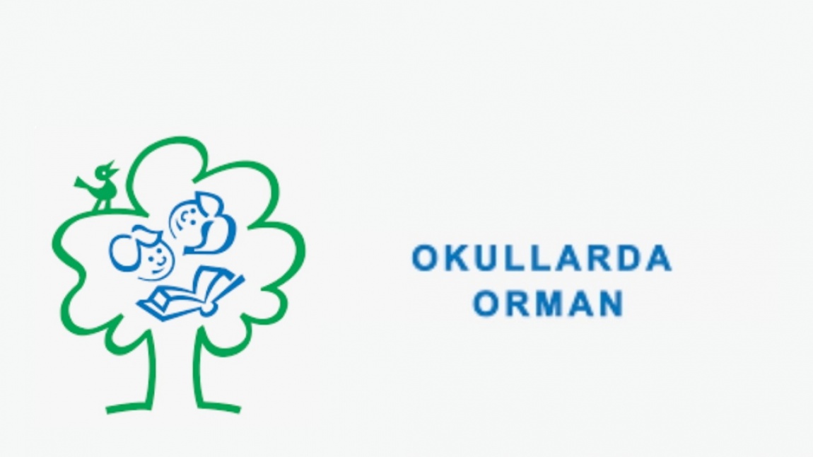 Okulumuzda Okullarda Orman Program Y R T Lmektedir G R Ay R Lkokulu